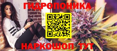 спиды Рыбинск