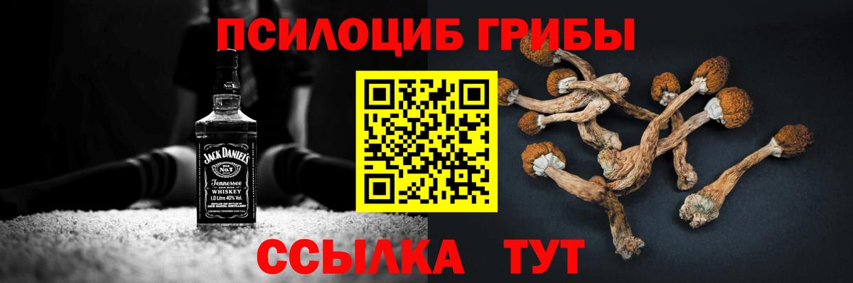 Псилоцибиновые грибы Magic Shrooms  Вход с VPN  Новокубанск 
